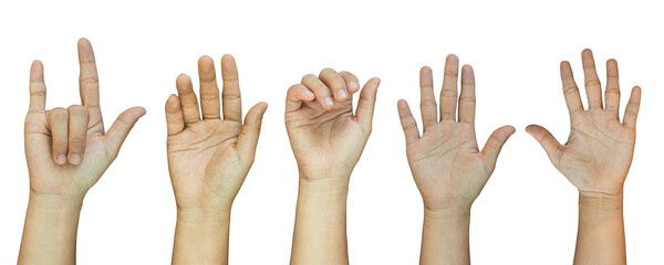 Wall Mural - Set of hand gestures Isolated on transparent background, PNG File.