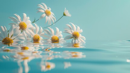Scattered daisies on water create a tranquil and harmonious natural arrangement against a blue backdrop