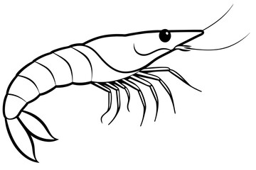 Poster - shrimp line art silhouette vector illustration