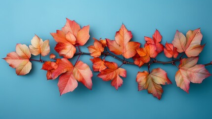 A branch of red and orange leaves on a blue background