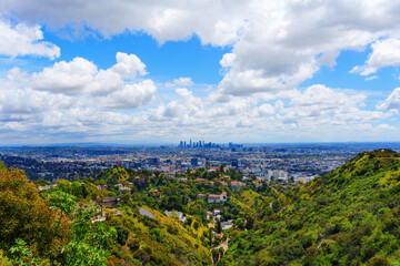 Wall Mural - Scatter of Private Homes on Runyon Canyon Park Hills