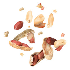 Wall Mural - Peanuts and crushed pods in air on white background