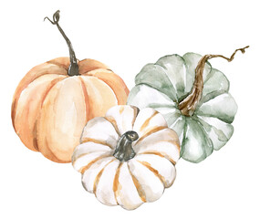 Watercolor pumpkins. Autumn gourds hand-painted illustration of autumn gourds —fall-themed decor. PNG clipart.