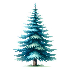 Blue spruce tree watercolor isolated on transparent background