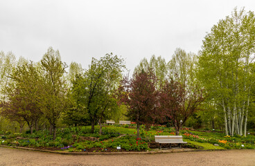 Yampa River Botanic Park in Steamboat Springs, Colorado, on a rainy day