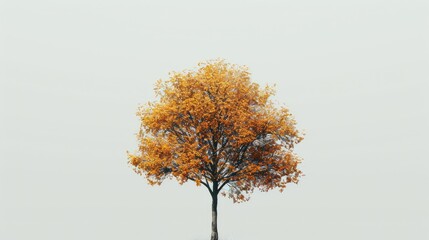 Wall Mural - tree in autumn