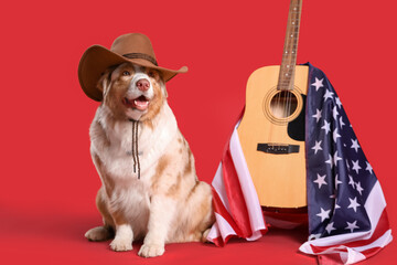 Wall Mural - Cute Australian Shepherd dog in cowboy hat with USA flag and guitar on red background