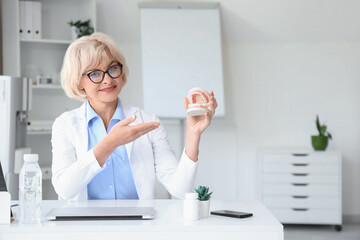 Wall Mural - Female dentist with jaw model at table in clinic