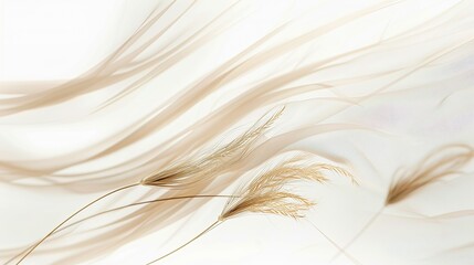 Wall Mural - soft flax wave abstract background, light and natural, isolated on white