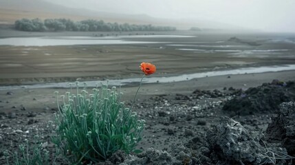 Poster -   An orange blossom stands alone amidst a field of greenery and reflects on a nearby water body on a gloomy day