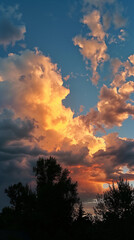 Wall Mural - sunset in the sky with trees vertical image