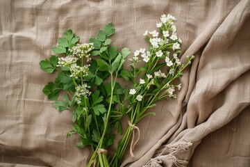 Sticker - Spring herbs and shepherd s purse are symbolic of spring in Korea