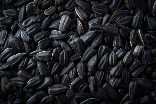 Sunflower seeds for texture or background salty and crunchy