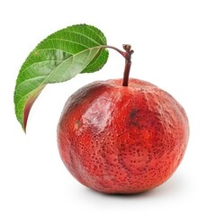 Wall Mural - Java apple isolated on white background 