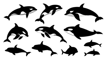 Wall Mural - set of orca silhouette vector design