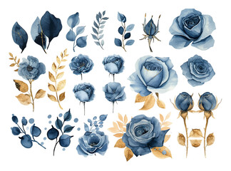 rose flowers watercolor set. collection of blue or navy blue roses and gold leaves isolated on white
