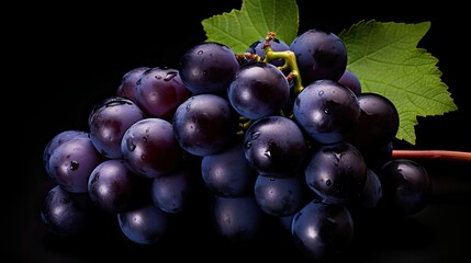 Wall Mural - ripe dark grape background