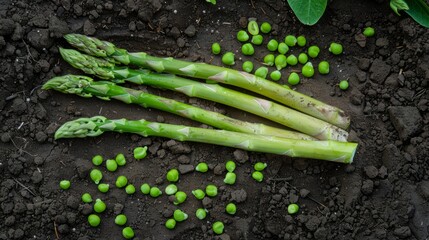Wall Mural - bunch of green asparagus and peas in pods scattered on the ground generative ai