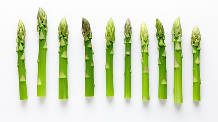 Canvas Print - fresh isolated asparagus green