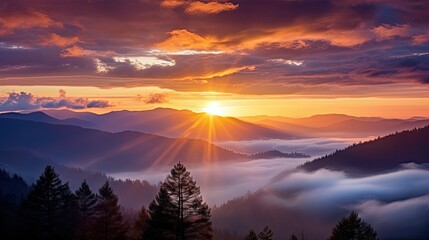 Wall Mural - oranges sun shining through clouds