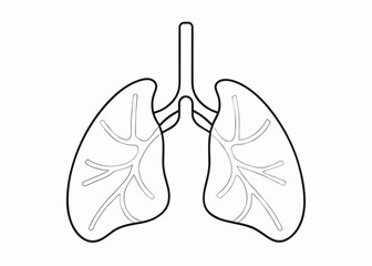 Wall Mural - Continuous one line drawing of human organ - Lungs. Lungs outline vector illustration
