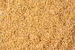 © Nikolay - Wheat grain as a background. Top view.