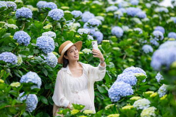 Sticker - Pregnant woman use mobile phone to take selfie in the Hydrangea flower farm