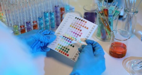 Wall Mural - Scientist holds and examines test strip according to color chart