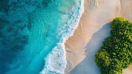 Wall Mural - A stunning aerial view of a tropical beach with clear turquoise waters, golden sandy shore, and lush green vegetation under the bright sun.