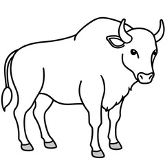 Bison line art vector illustration.