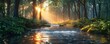 © Riverland Studio - a beautiful stream in the morning light in a summer forest