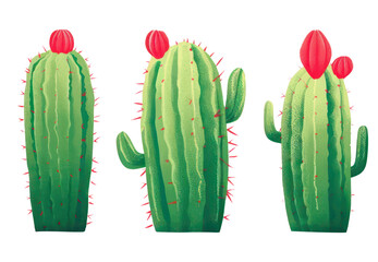 Wall Mural - Illustration cactus with flowers set