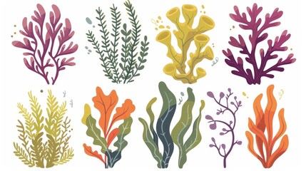 Seaweed cartoon modern set - underwater sea plants, ocean plants in aquarium. Illustration of seaweed, marine algae, and corals living under the sea.