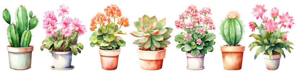 Wall Mural - Watercolor houseplant in pot png cut out element set