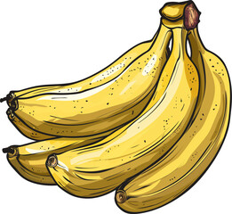 Wall Mural - Hand-drawn illustration of a bunch of ripe yellow bananas isolated on transparent background.