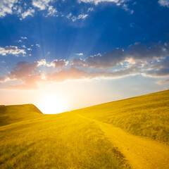 Wall Mural - ground road among green mountain ridge at the sunset