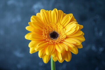 Wall Mural - Yellow flower in vase on table