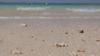 sand beach and sea