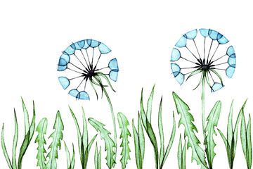 Wall Mural - watercolor pattern, seamless border of dandelions and grass. transparent flowers, x-ray