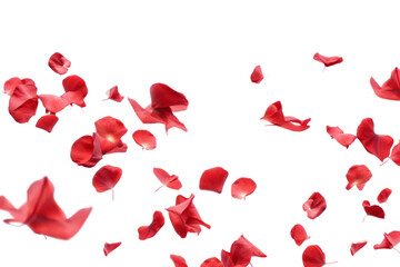 Wall Mural - PNG  Some red rose petals backgrounds flower flying. AI generated Image by rawpixel.