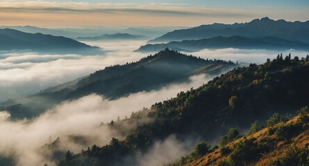 Poster - top of mountain foggy landscape banner copyspace background