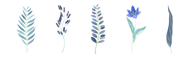 Wall Mural - Blue Flowers on Stem as Meadow or Field Plant Vector Set