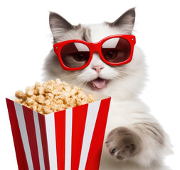 Sticker - PNG Popcorn sunglasses mammal animal. 