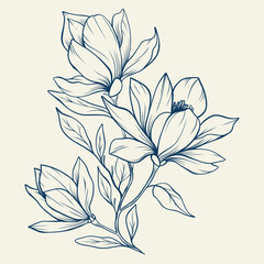Wall Mural - Magnolia flowers drawing with line-art