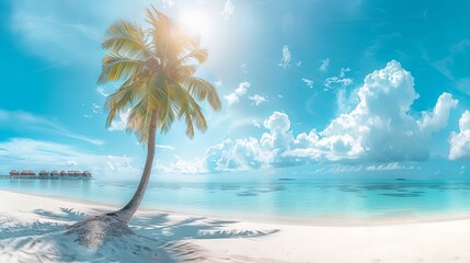 Wall Mural - Coconut Palm tree on amazing perfect white sandy beach in island of Maldives panoramic view.