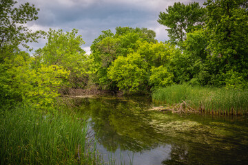 Wall Mural - Sioux Falls Nature Conservation Area at Sertoma Park: The Vibrant Greenway Walking Trails Summer Landscape along the Big Sioux River in South Dakota