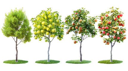 Wall Mural - set of apple tree with isolated transparent background