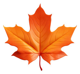 Sticker - PNG Autumn leave leaves maple plant