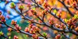 © guntapong - Close-up photo of vibrant tree buds in early spring , buds, tree, nature, growth, seasonal, spring, plants, flora, close-up, detail, green, new, fresh, young, colorful, outdoors, natural