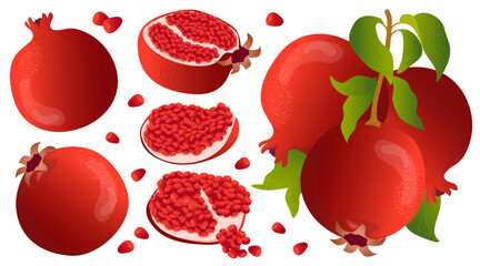 Wall Mural - Ripe pomegranate, pomegranate fruits on a branch, pomegranate slices, scarlet pomegranate seeds. Label, banner advertising element. Vector illustration. Printing on fabric, paper, cards